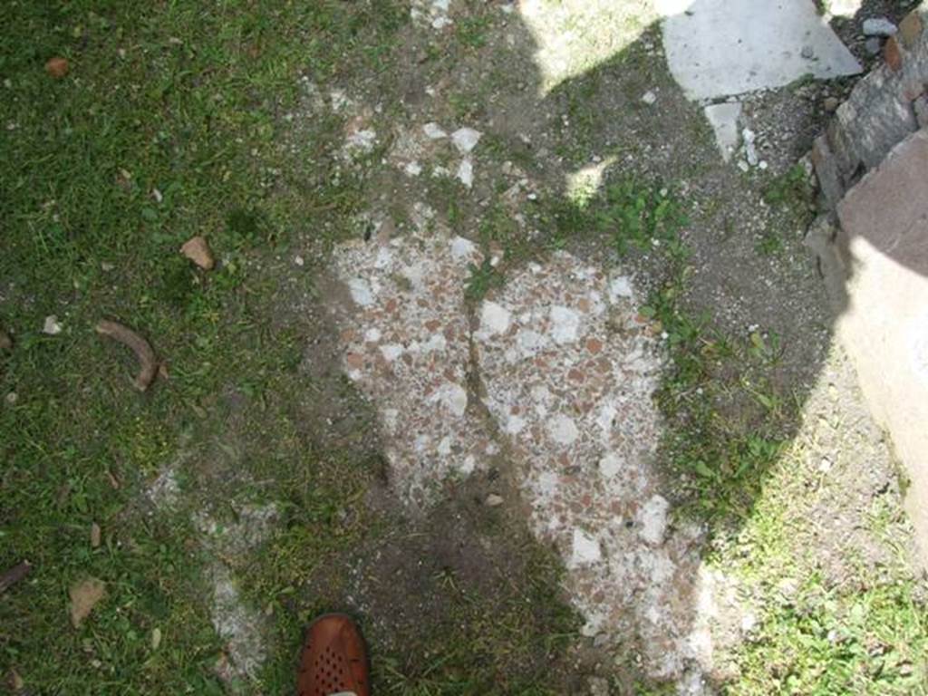 VI.15.6 Pompeii. March 2009. Room 10. Corridor, remains of floor.