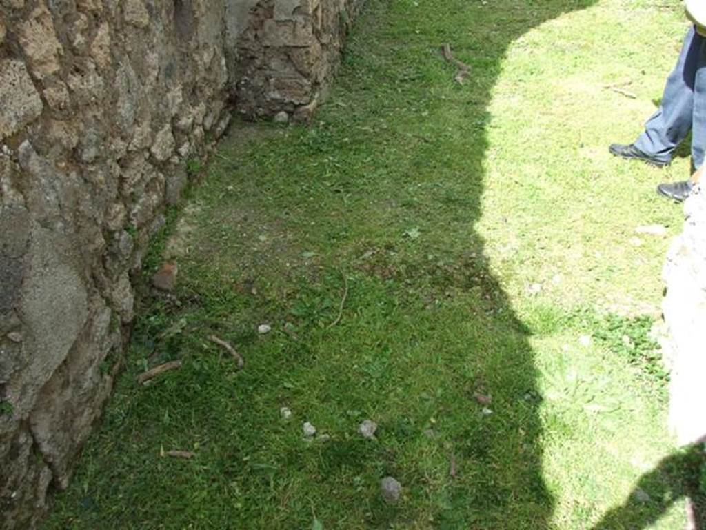 VI.15.6 Pompeii. March 2009.  Room 10. Remains of step in corridor.

