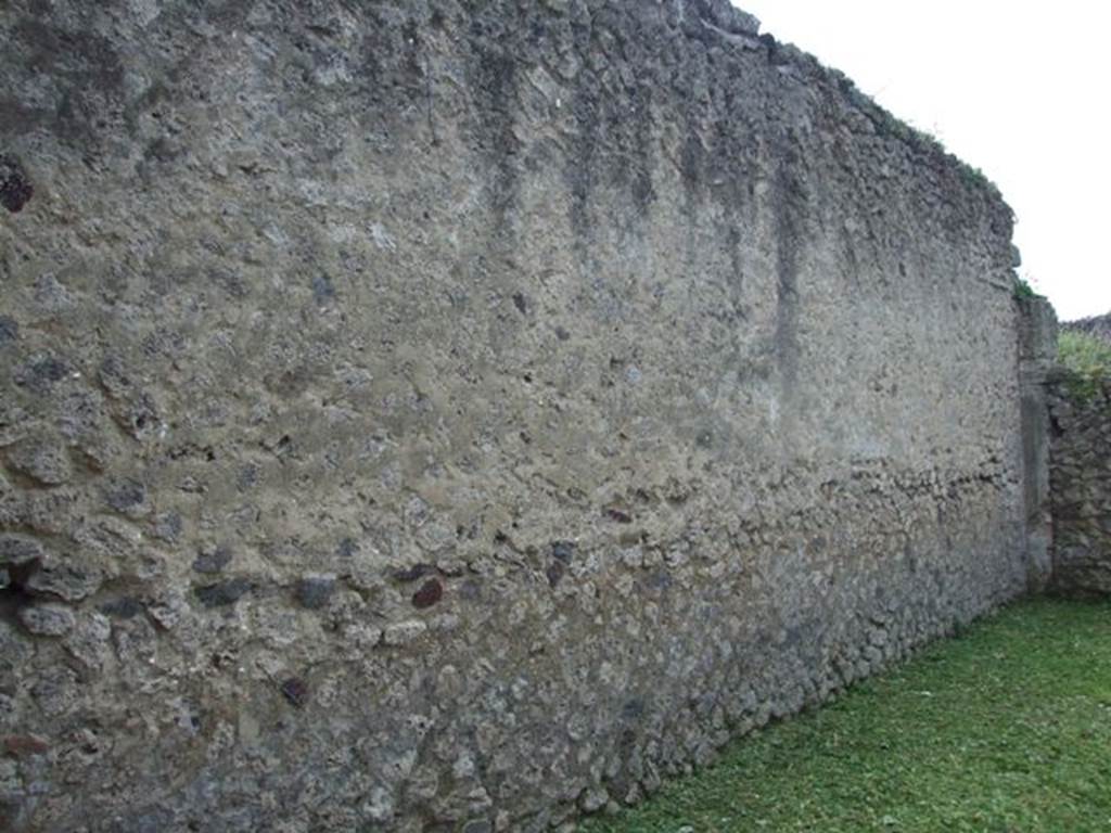 VI.15.6 Pompeii. March 2009. Room 1, south wall of atrium. Looking west.