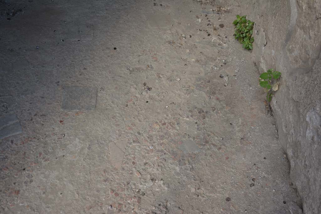 VI.15.9 Pompeii. July 2017. Detail of flooring in entrance corridor.
Foto Annette Haug, ERC Grant 681269 DCOR.
