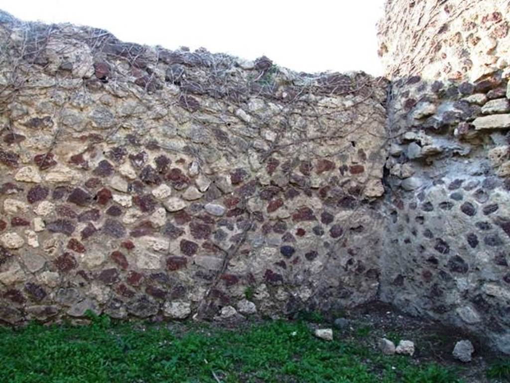 VI.15.13 Pompeii. December 2007. West wall in north-west corner.