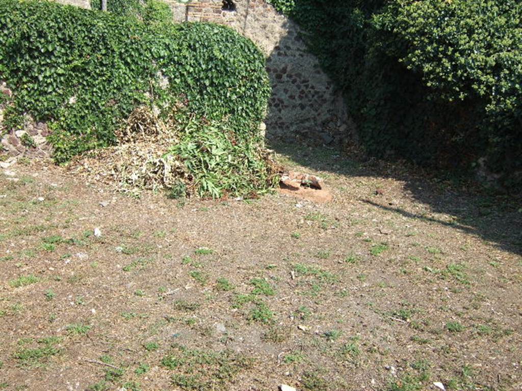 VI.15.13 Pompeii. September 2005. Looking east across large rear area, with dolium to the north of the doorway from the shop. According to Jashemski, the garden, excavated in 1897, lay immediately behind the shop. It could be entered either from the shop or from the long passageway that led from the street to the atrium of the VI.15.14.
There was a large dolium embedded in the garden, to the north of the door from the shop. See Jashemski, W. F., 1993. The Gardens of Pompeii, Volume II: Appendices. New York: Caratzas.(p.158)

