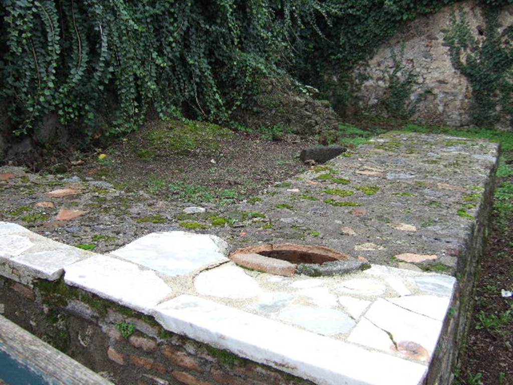 VI.15.16 Pompeii. December 2005. Looking south-west across bar-counter.