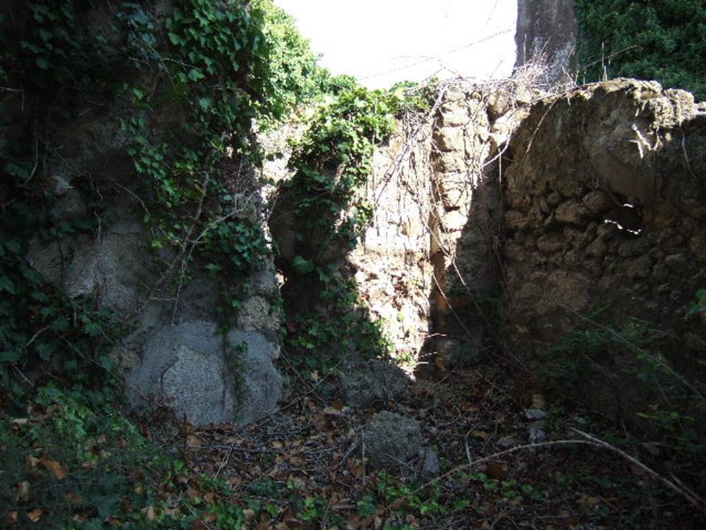 VI.15.19 Pompeii. September 2005. Looking east. According to NdS,  the VII doorway (on the west side of the insula) gave access to a room containing a staircase, which probably went up above the room on the north side of the entrance doorway at VI.15.20.
See Notizie degli Scavi, June 1897, (p.275)
