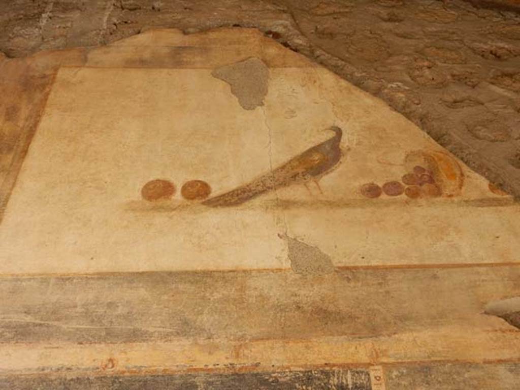 VI.16.7 Pompeii. May 2016. Entrance A upper north wall. Painting of still life with peacock and fruit, after recent restoration.  Photo courtesy of Buzz Ferebee.
