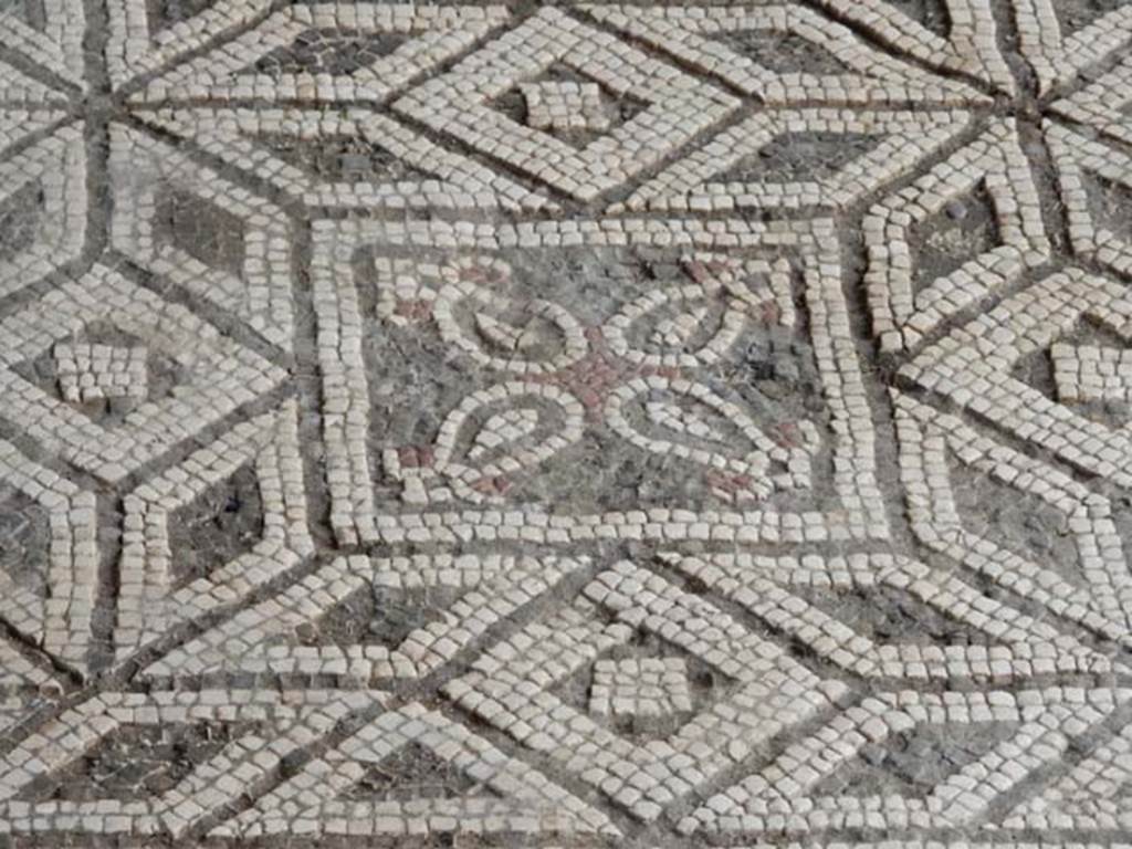 VI.16.7 Pompeii. May 2016. Room E, detail from centre mosaic. Photo courtesy of Buzz Ferebee.

