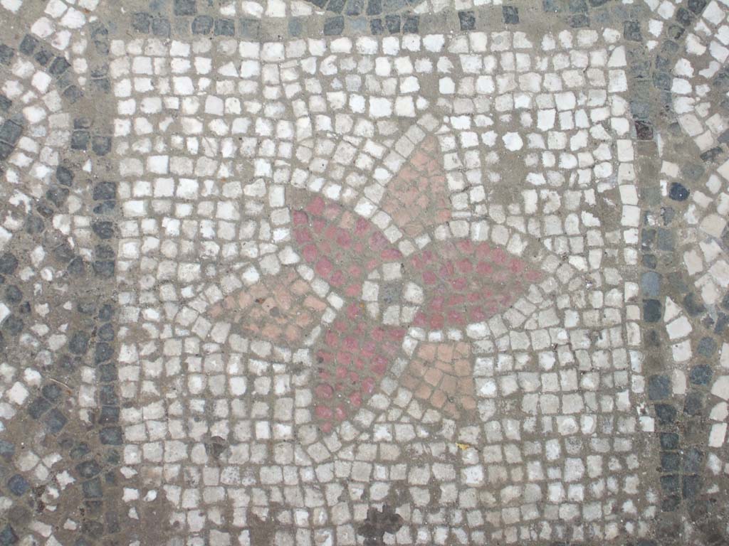 VI.16.7 Pompeii. May 2006. Room E, detail of coloured mosaic in doorway threshold in tablinum.