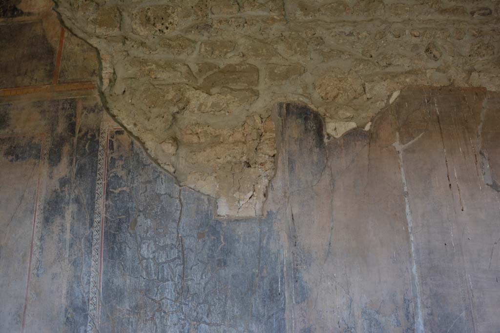 VI.16.7 Pompeii. March 2019. Decoration on south wall of portico. 
Foto Annette Haug, ERC Grant 681269 DÉCOR.

