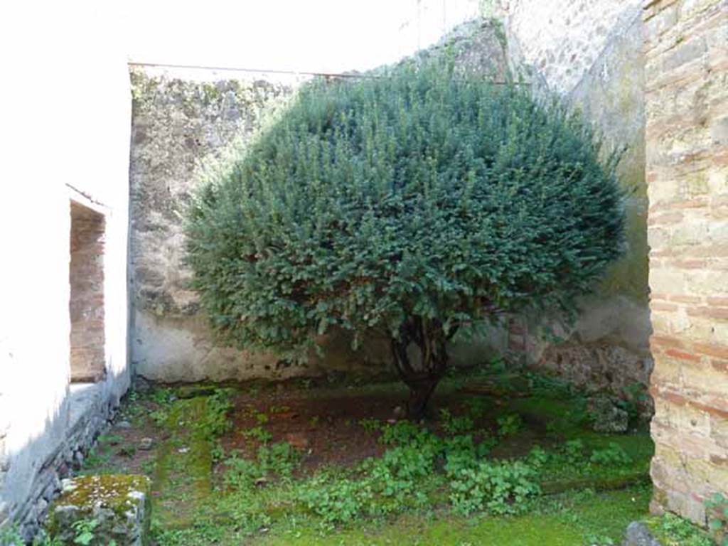 VI.16.7 Pompeii. May 2010. Room P, light-yard on west side of window to room Q, and south side of large triclinium, room O.  According to Jashemski, there was a very small garden in the rear south-west corner of the house. This could be seen through the window of the small room on its east. The triclinium to the north had access to the garden through the large opening in the wall, originally provided with a door reached by little wooden steps. There was a gutter near the north and east edges of the garden. See Jashemski, W. F., 1993. The Gardens of Pompeii, Volume II: Appendices. New York: Caratzas. (p.164)
