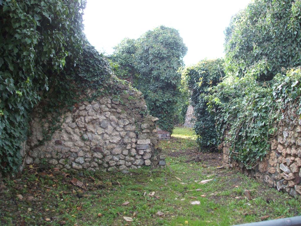 VI.16.10 Pompeii. December 2004. Looking west across shop-room.