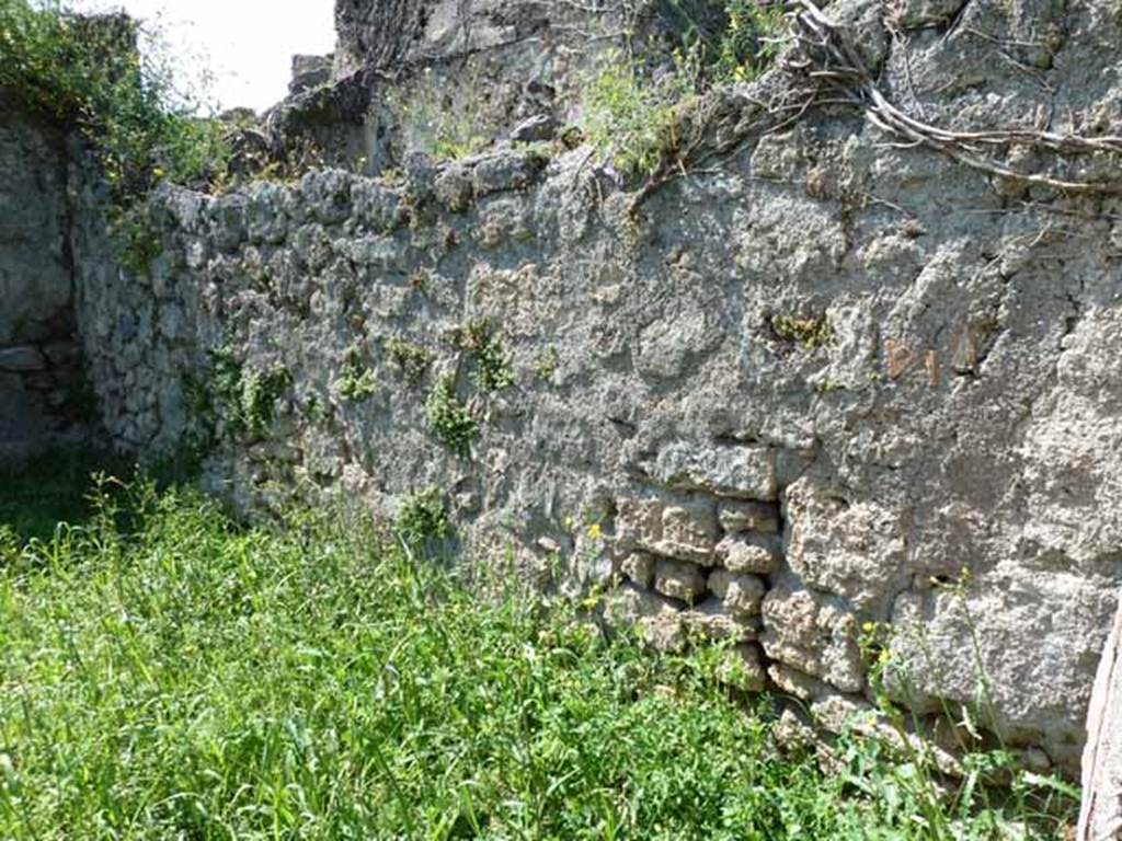 VI.16.11 Pompeii. May 2010. North wall of rear room.