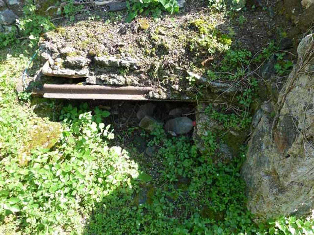 VI.16.11 Pompeii. May 2010. Remains of kitchen hearth.