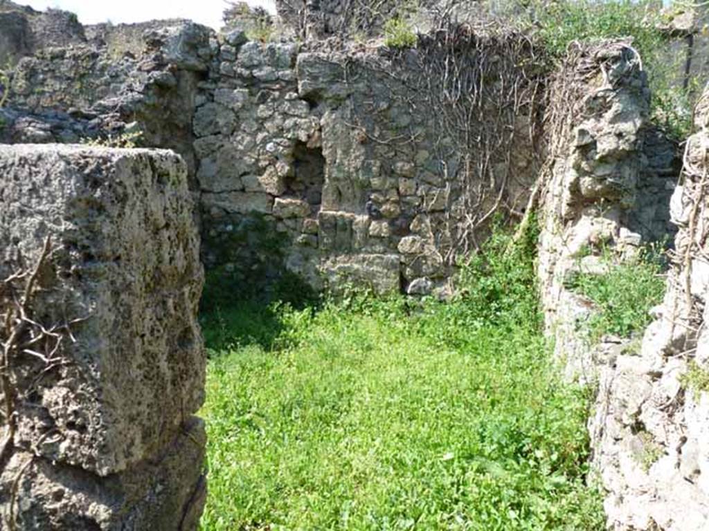 VI.16.11 Pompeii. May 2010. Doorway to yard at rear of room in north-west corner of shop. Looking north. According to NdS, this uncovered area had a floor of cocciopesto.