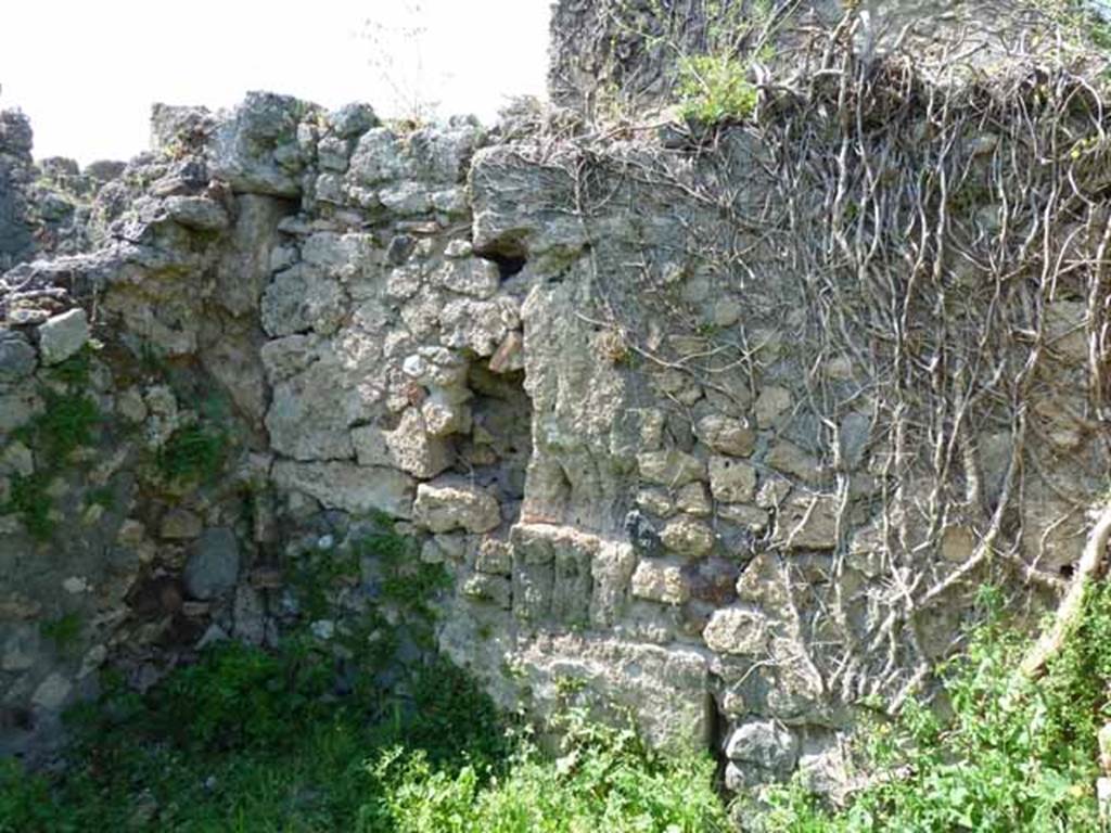 VI.16.11 Pompeii. May 2010. North wall of yard.