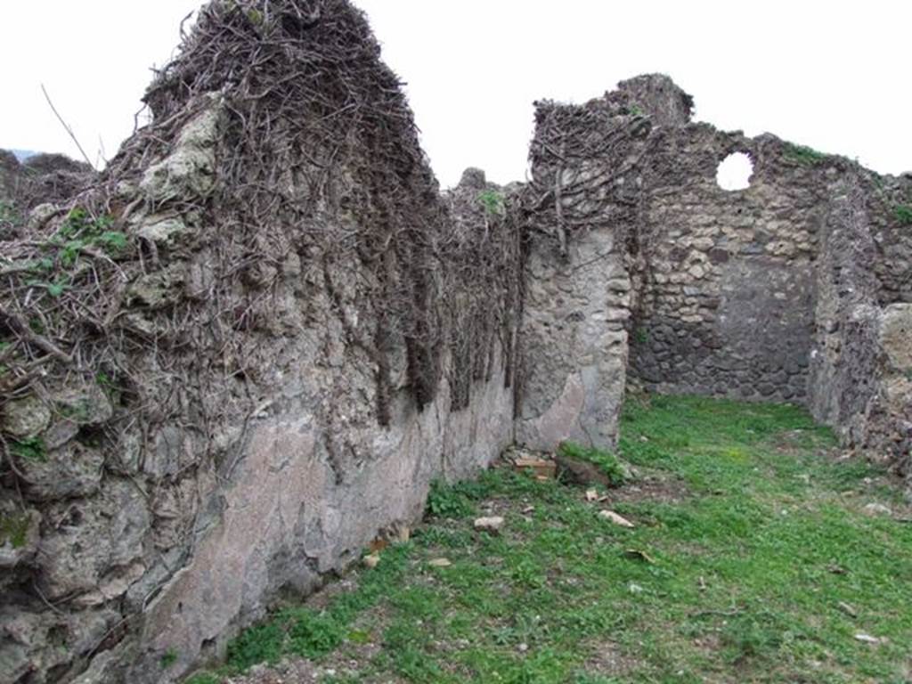 VI.16.13 Pompeii. December 2007. South wall of workshop and rear-room in south-west corner. According to NdS, the workshop was rather spacious. The walls were whitewashed with a high plastered dado (laterizio) and with red bands on a white background, to imitate the encrustation of white marble slabs. See Notizie degli Scavi di Antichit, 1908 (p.62)

