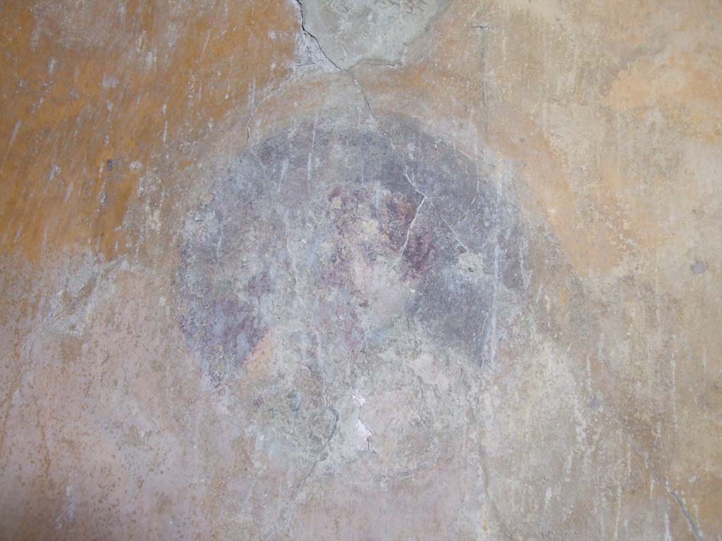 VI.16.15 Pompeii. December 2006. North wall of room G with detail of medallion painting.