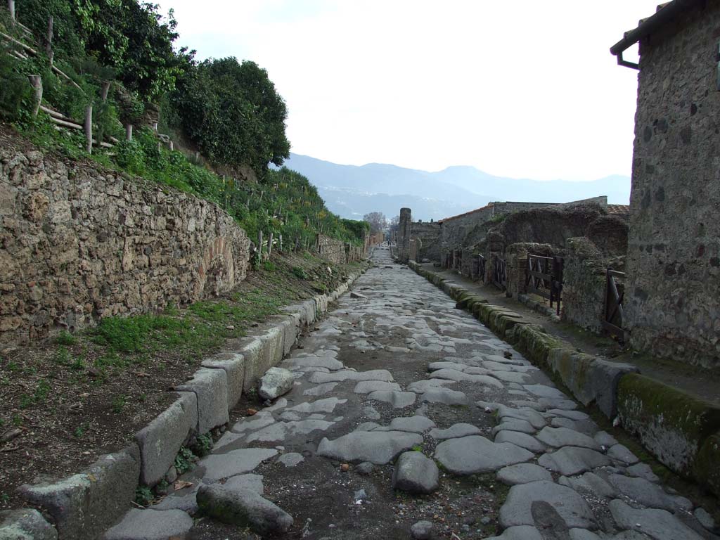 Via del Vesuvio, Pompeii, looking south. December 2006.                                                          VI.16.15, on the right.