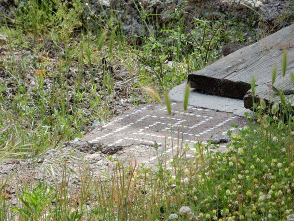 VI.16.27 Pompeii. May 2015. Detail of wide border of cocciopesto with a lovely design of meander made with white tesserae.   Photo courtesy of Buzz Ferebee.
