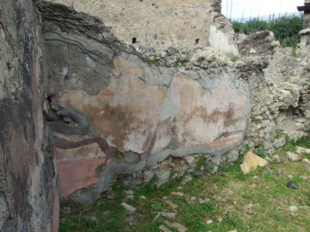 VI.16.29 Pompeii. March 2009. Room H, north wall. According to NdS, the walls were painted with mediocre decorations, but of which quite a bit was remaining. They were divided in large panels painted on a background of a natural colour similar to brick plaster.  
Each offered a rectangular painting in the centre showing two dolphins facing to the sides of a type of vase. The frieze, that was preserved only in part on the western wall, did not show any decoration at all. The lower dado on a red background showed the usual plant decoration. 