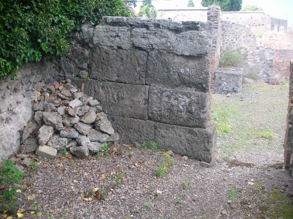 VI.17.1 Pompeii. May 2010. Detail of east wall in room in north-west corner. Photo courtesy of Ivo van der Graaff.

