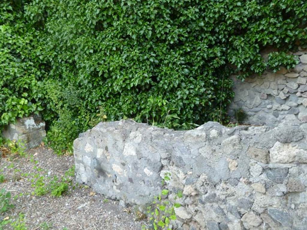 VI.17.1 Pompeii. May 2011. Looking north from north-east corner.