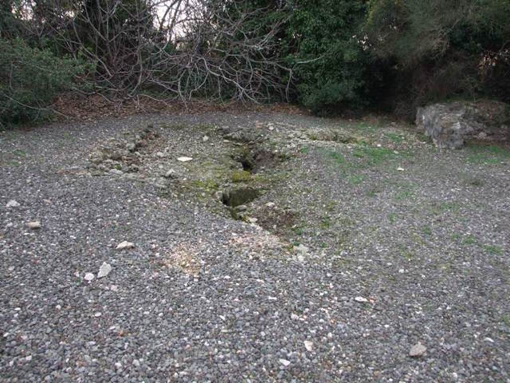 VI.17.10 Pompeii. December 2007. Atrium with remains of impluvium? According to Allroggen-Bedel, on La Vega’s plan, the atrium may have been room 5. The Ala, in the top right of the photo under the branches, may have been room 2.
