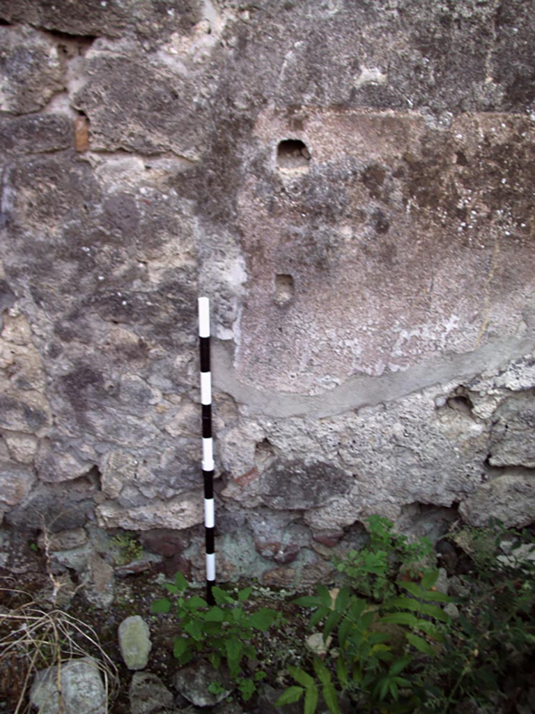 VII.1.36 Pompeii. August 2008. Detail of west wall. Photo courtesy of Jared Benton.