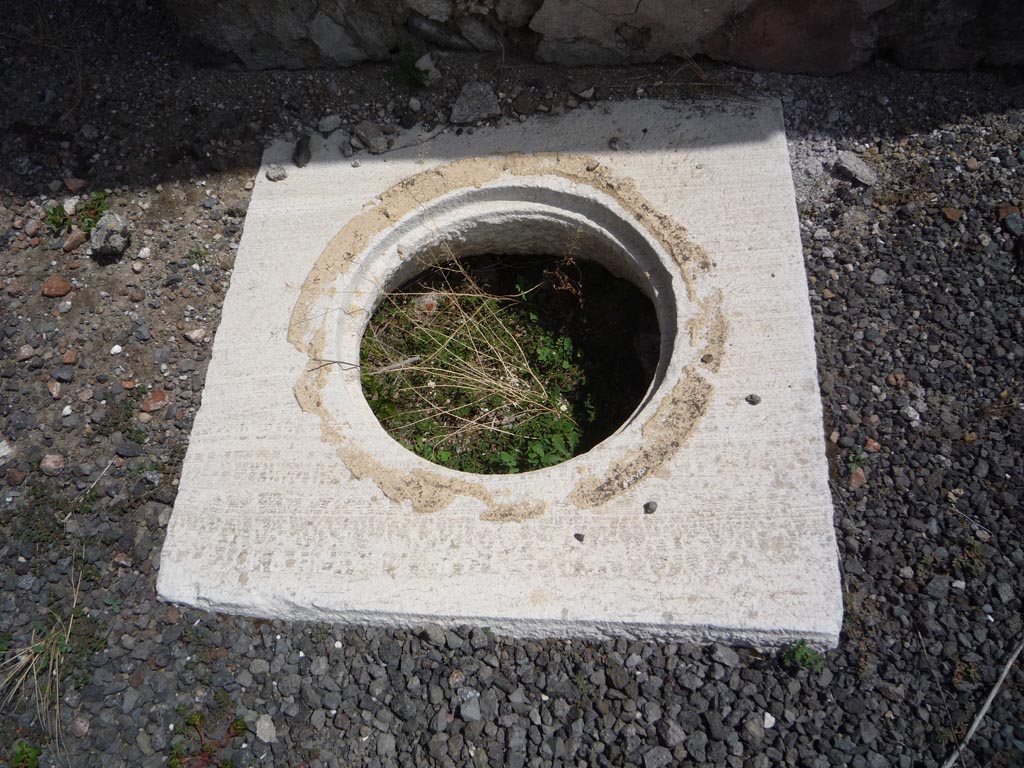 VII.1.36 Pompeii. October 2009. Cistern mouth near east wall of atrium. Photo courtesy of Jared Benton.