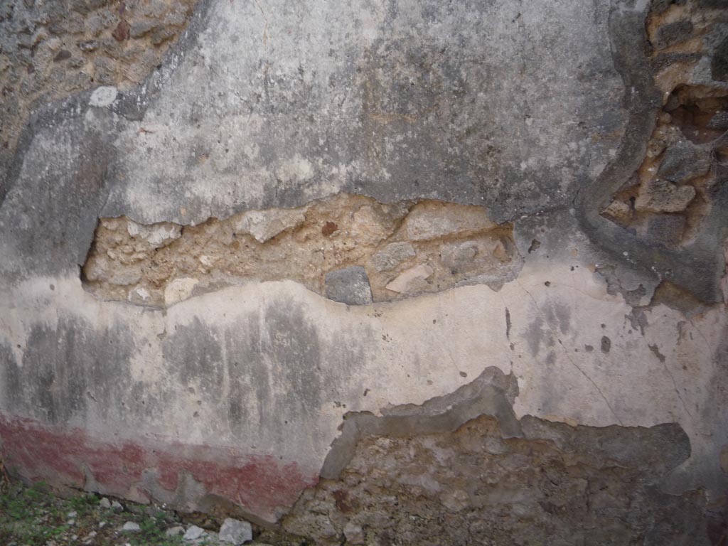 VII.1.36 Pompeii. October 2009. South wall. Photo courtesy of Jared Benton.