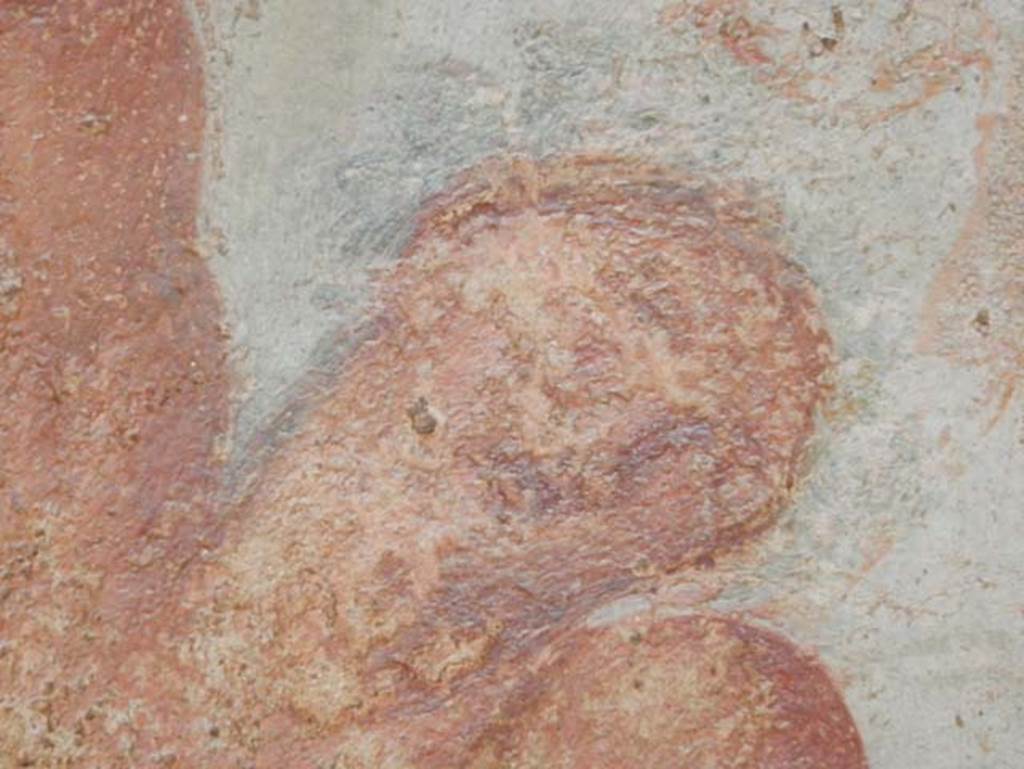 VII.1.47 Pompeii, May 2018. Exedra 10, detail from central painting on north wall. Photo courtesy of Buzz Ferebee