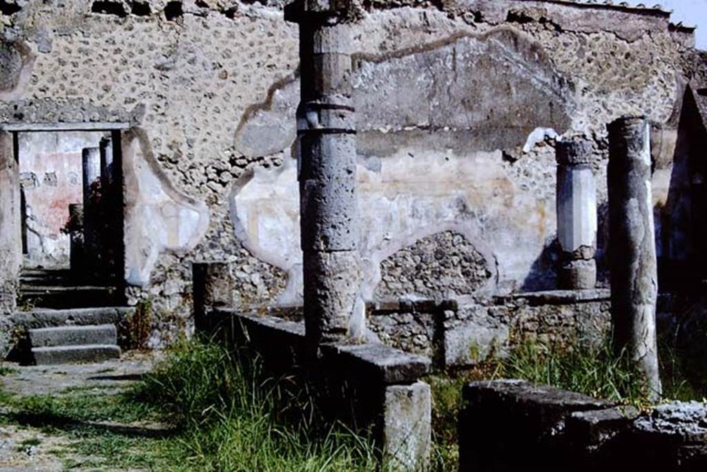 VII.1.47 Pompeii. 1966. 
Looking north from walled peristyle garden 19 towards steps leading to a second peristyle 31, which could be entered from the entrance at VII.1.25.
Photo by Stanley A. Jashemski.
Source: The Wilhelmina and Stanley A. Jashemski archive in the University of Maryland Library, Special Collections (See collection page) and made available under the Creative Commons Attribution-Non-Commercial License v.4. See Licence and use details.
J66f0385
