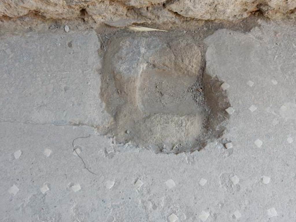 VII.1.47 Pompeii. May 2017. Detail of flooring in corridor 1.  Photo courtesy of Buzz Ferebee.
