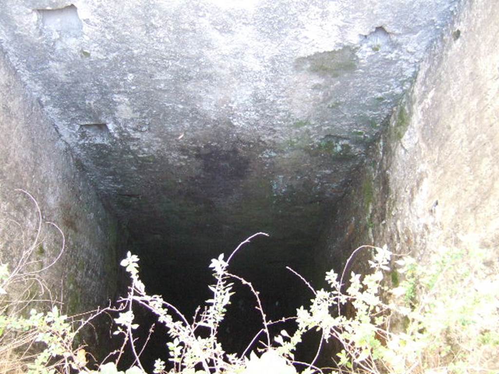 VII.1.49 Pompeii. September 2005. Deep well M at rear of workshop at VII.1.49.