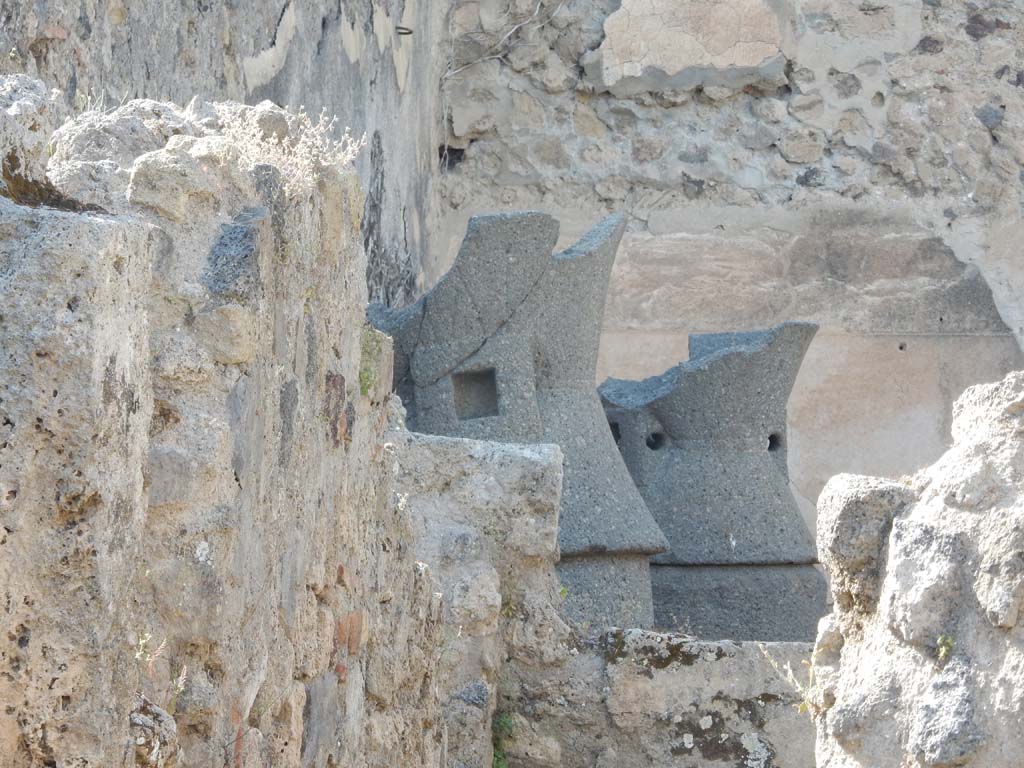 VII.2.3 Pompeii. June 2019. Looking north from VII.2.51 towards bakery room with mills. Photo courtesy of Buzz Ferebee.