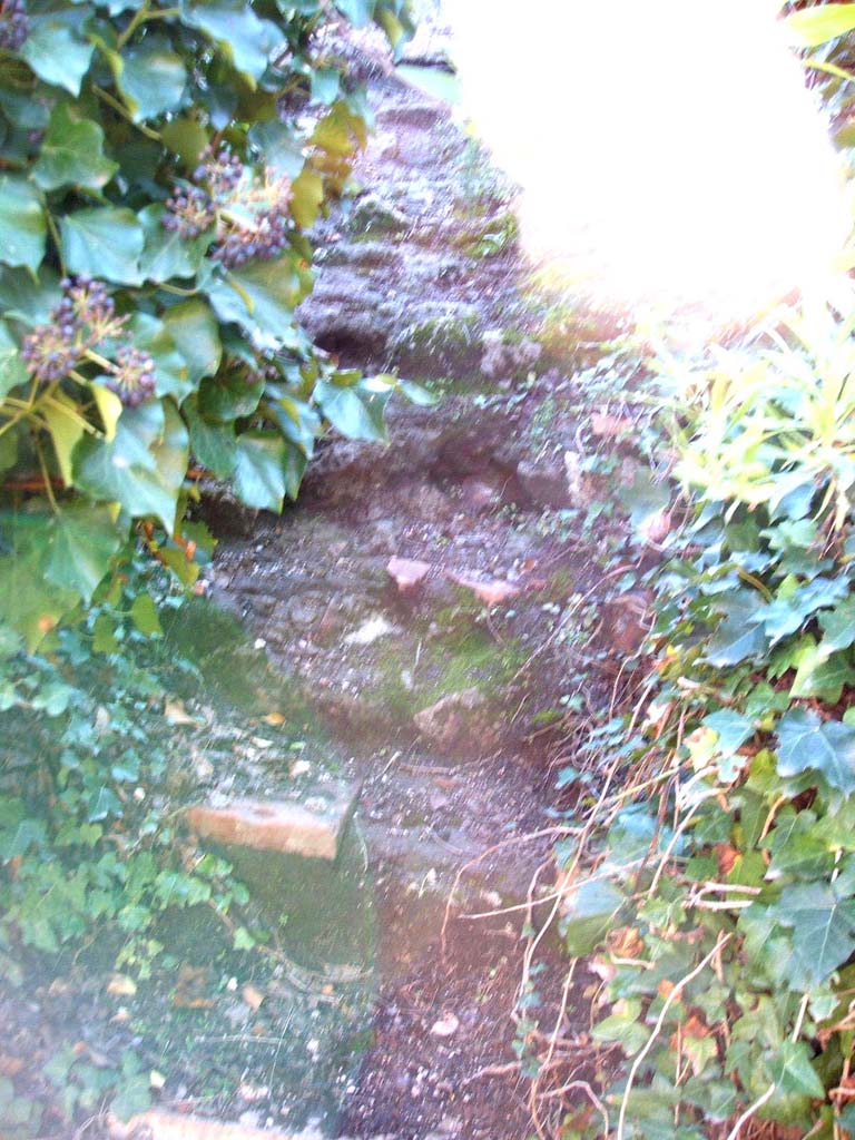 VII.2.11 Pompeii. December 2004. Remains of staircase.