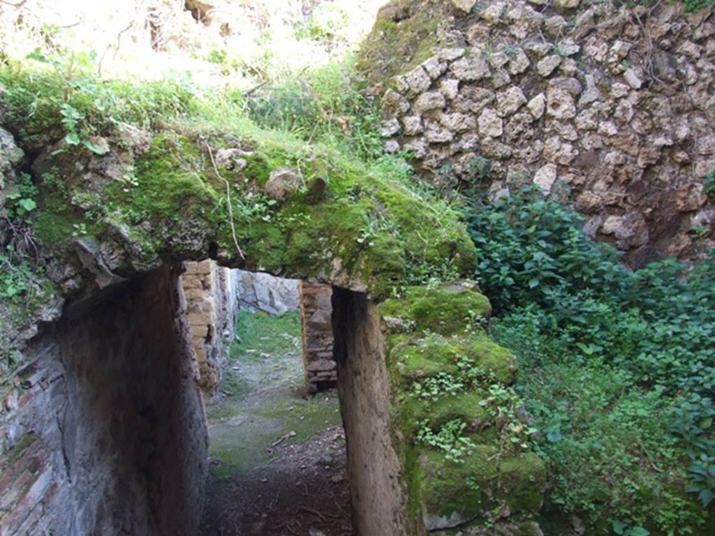 VII.2.14 Pompeii.  March 2009. Two rooms on north side of corridor.  Entrance from corridor.