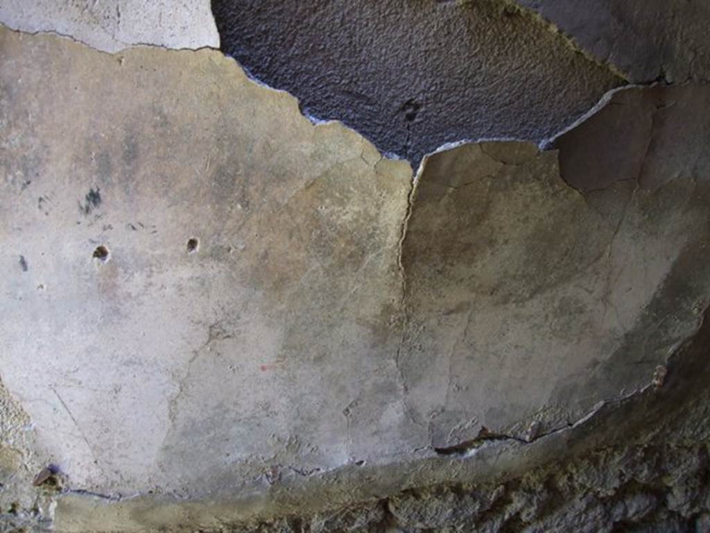 VII.2.16 Pompeii.  March 2009.  Room 6.  Remains of wall plaster on north side.