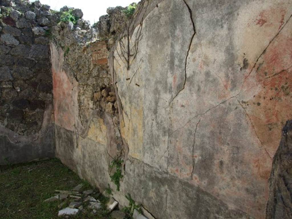 VII.2.16 Pompeii.  March 2009. Room 7.  Cubiculum.  South wall.