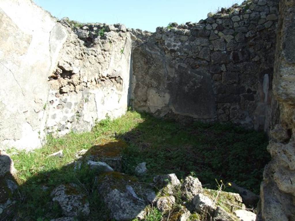 VII.2.16 Pompeii.  March 2009.  Room 8.  Oecus.  Looking north east.