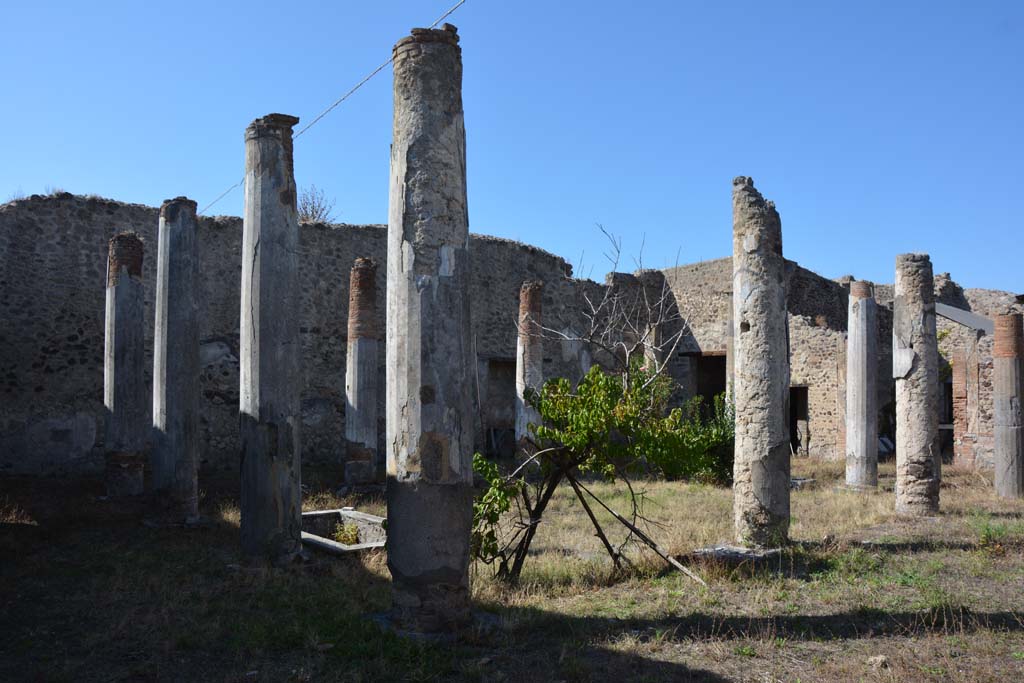 VII.2.16 Pompeii. October 2019. Looking north-west across peristyle from south end of east portico.
Foto Annette Haug, ERC Grant 681269 DCOR.
