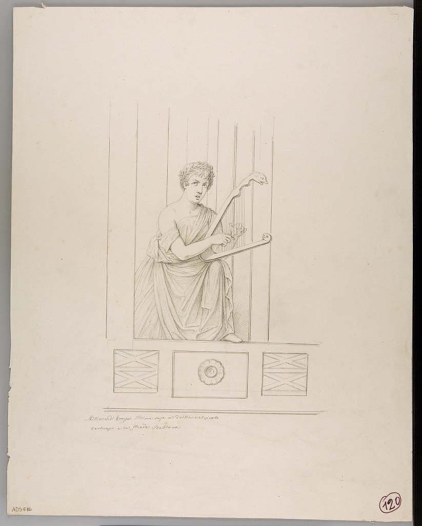 VII.2.16 Pompeii. Drawing attributed to Nicola La Volpe, of the Muse Erato from the left (east) side of the south wall.
Now in Naples Archaeological Museum. Inventory number ADS 536.
Photo  ICCD. http://www.catalogo.beniculturali.it
Utilizzabili alle condizioni della licenza Attribuzione - Non commerciale - Condividi allo stesso modo 2.5 Italia (CC BY-NC-SA 2.5 IT)
