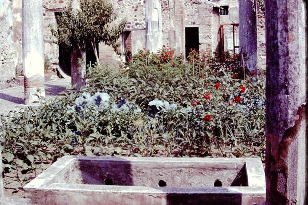 VII.2.16 Pompeii. 1977. Looking north across pool in peristyle towards atrium and entrance doorway.  Photo by Stanley A. Jashemski.   
Source: The Wilhelmina and Stanley A. Jashemski archive in the University of Maryland Library, Special Collections (See collection page) and made available under the Creative Commons Attribution-Non Commercial License v.4. See Licence and use details. J77f0464
