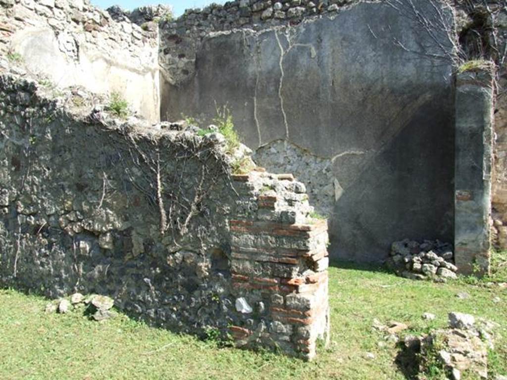 VII.2.18 Pompeii. March 2009. Room 10, east wall of tablinum, south end, with remains of entry into room 11, oecus.