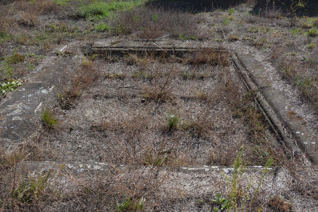 VII.2.20 Pompeii. October 2019. Looking south across impluvium in atrium. 
Foto Annette Haug, ERC Grant 681269 DÉCOR.

