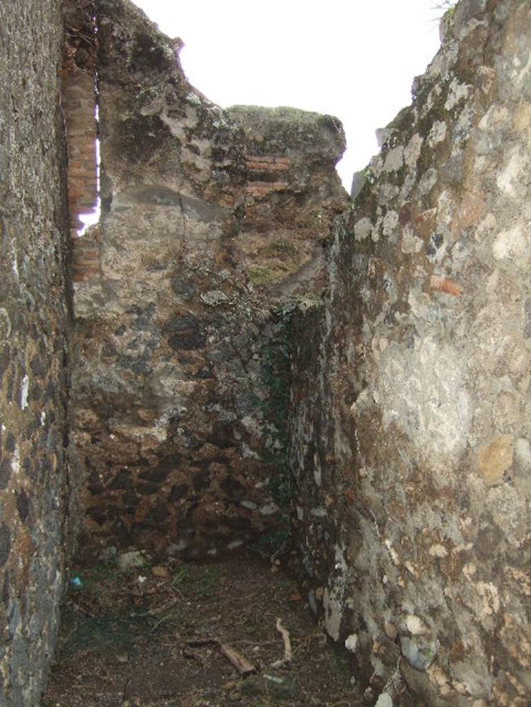 VII.2.21 Pompeii. December 2005. Site of steps.