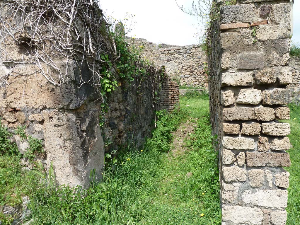 VII.2.35 Pompeii. May 2010. Corridor on west side of atrium, leading to VII.2.27. Looking north.
On the left would have been a doorway with two steps to VII.2.30.
