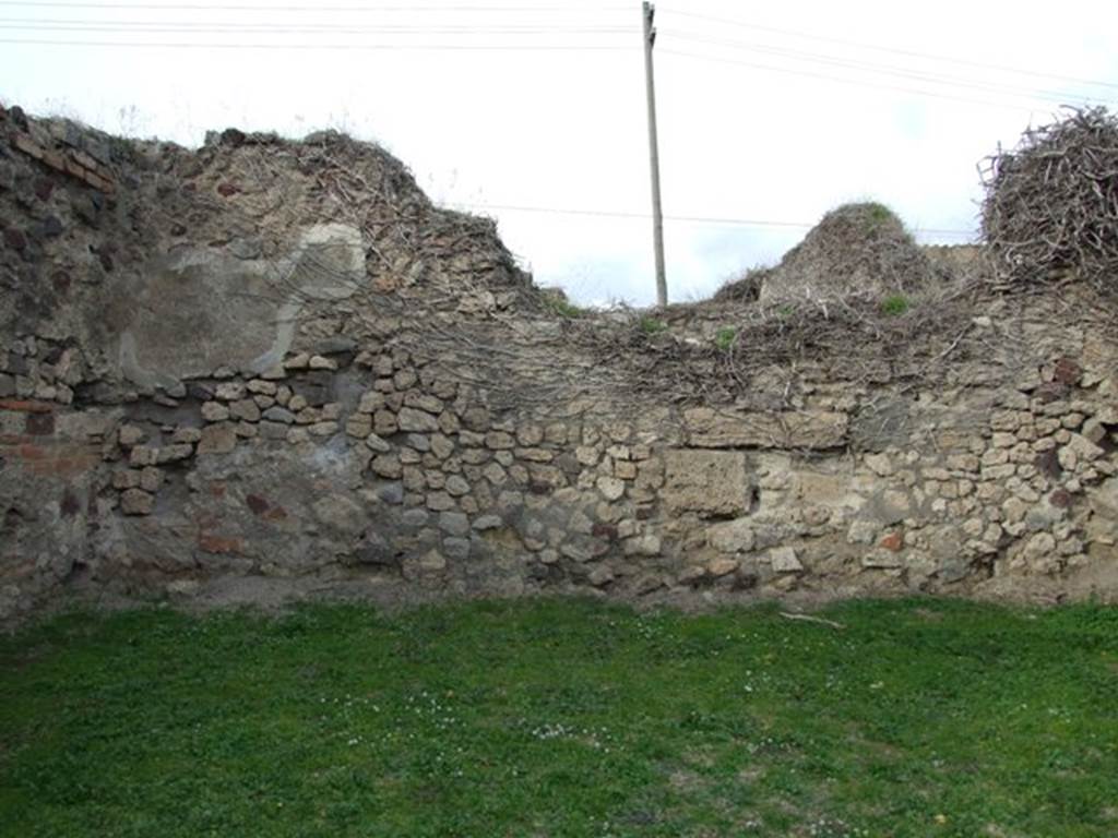 VII.2.36 Pompeii.  December 2007.  North wall.