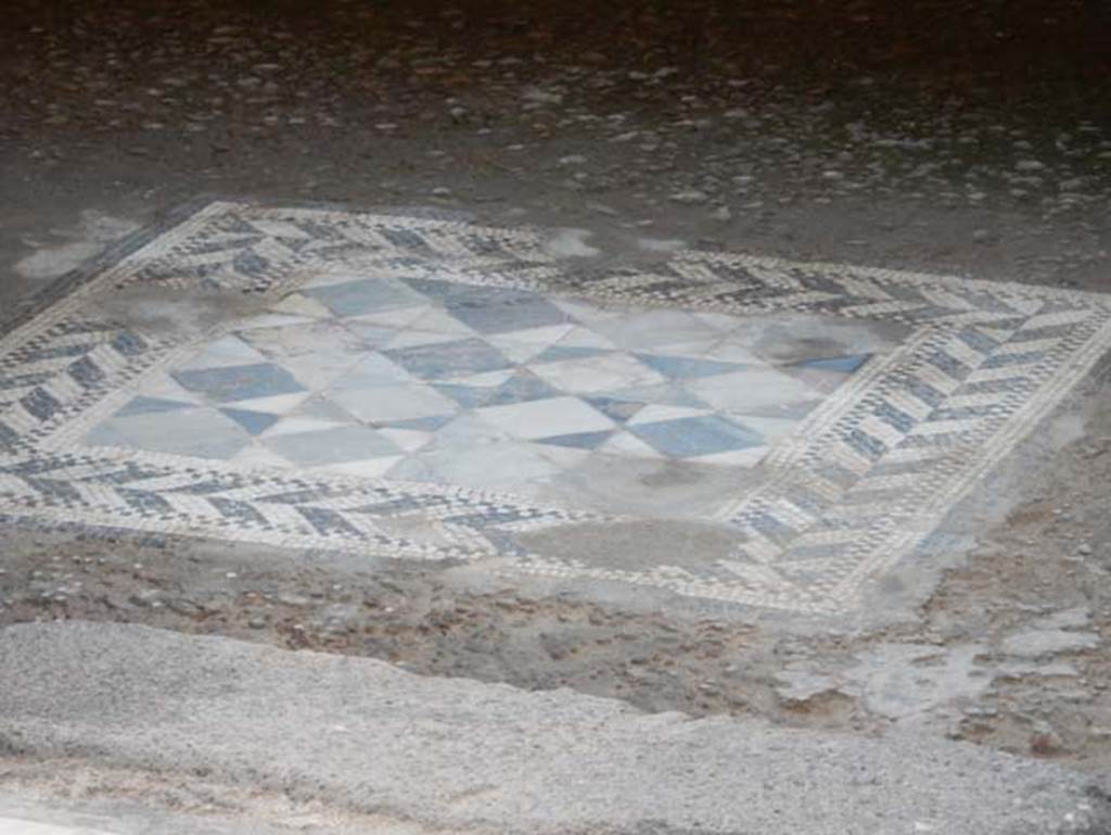 VII.2.45 Pompeii, May 2018. Flooring from cubiculum in centre of east side of atrium. 
Photo courtesy of Buzz Ferebee.
