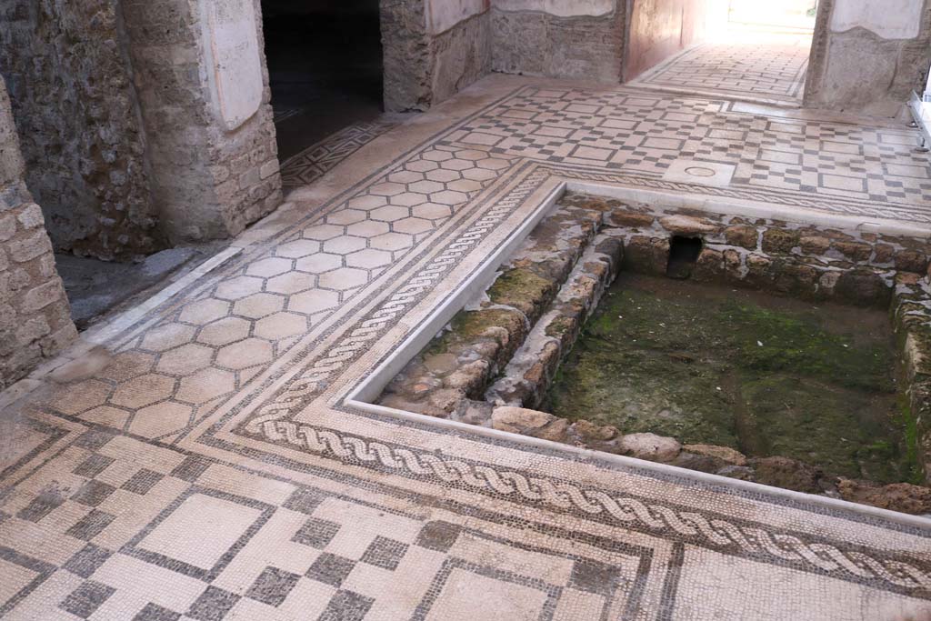 VII.2.45, Pompeii. December 2018. Looking across impluvium towards south-east corner of atrium. Photo courtesy of Aude Durand.

