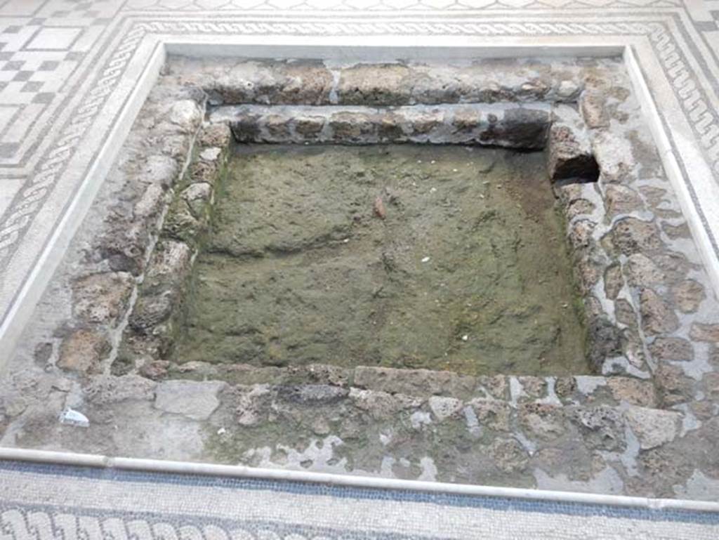 VII.2.45 Pompeii, May 2018. Looking across impluvium in atrium. Photo courtesy of Buzz Ferebee.